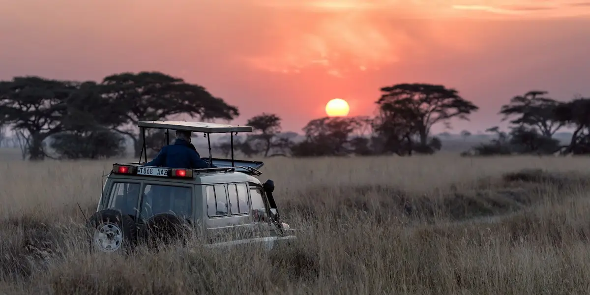 Eagle Venture Safaris Website - Main