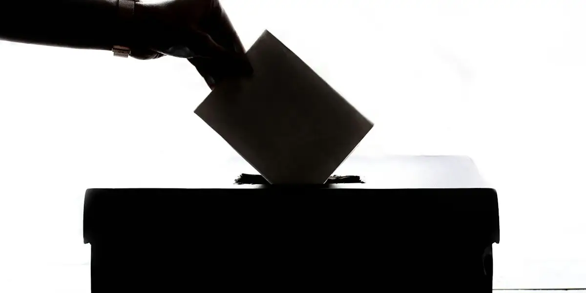 TuVote — Organizational Voting Platform - Image 2