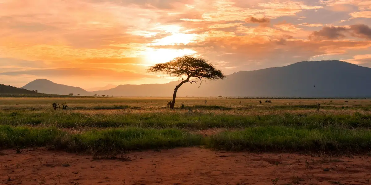 Eagle Venture Safaris Website - Image 2